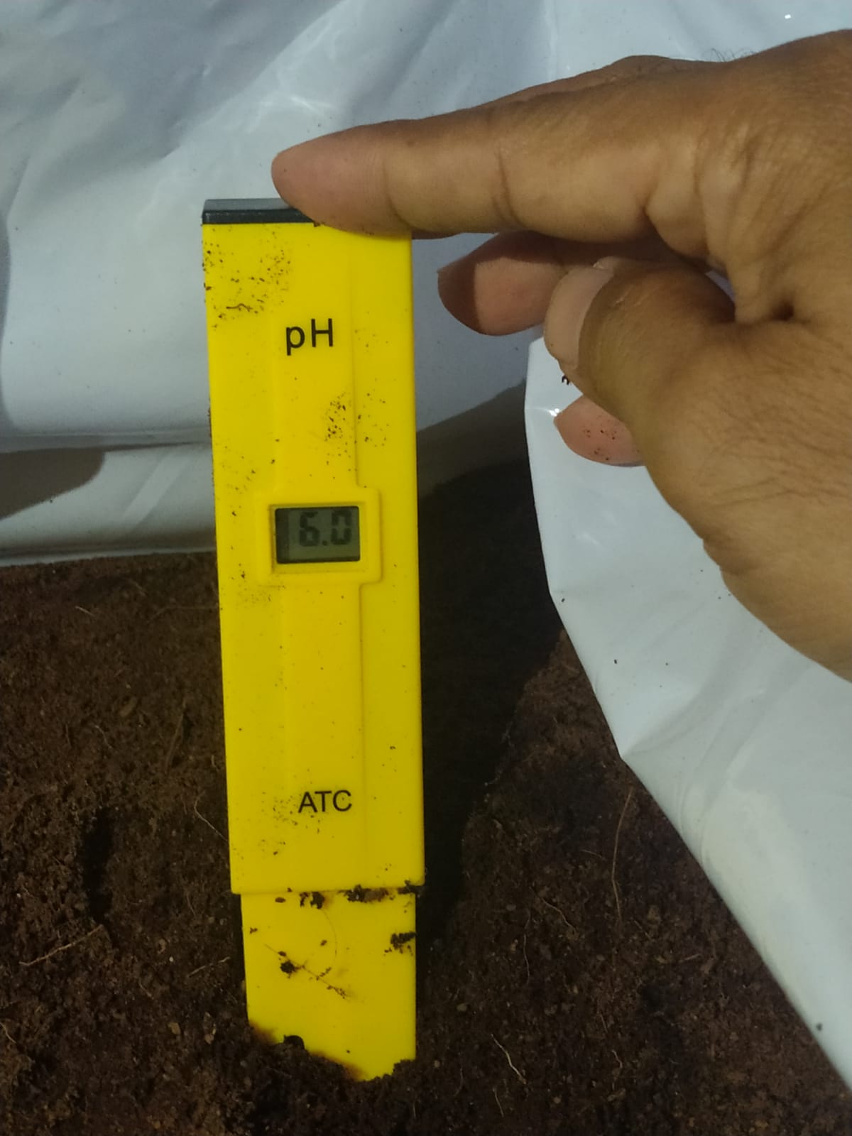 pH measurement 2