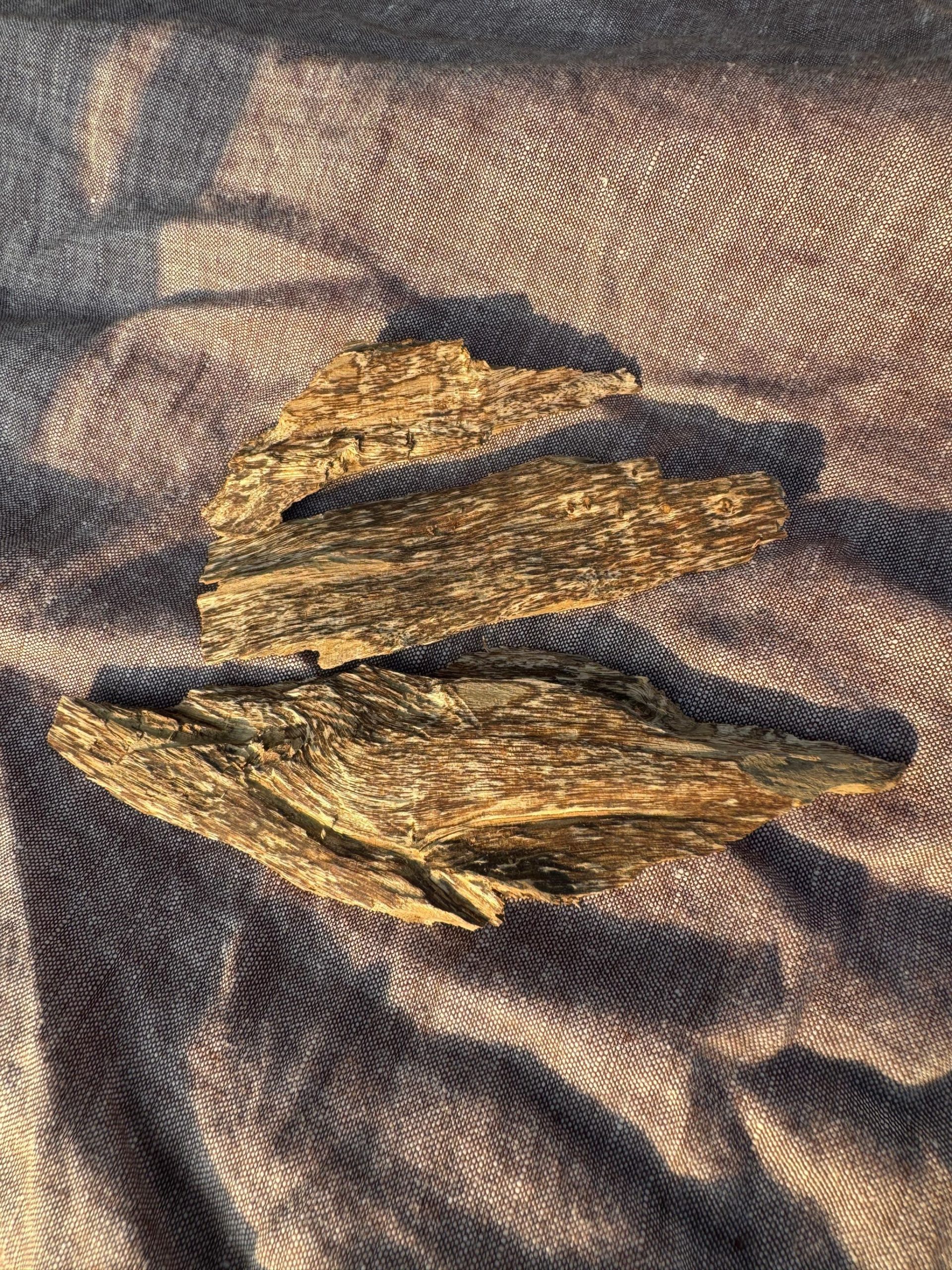Agarwood7