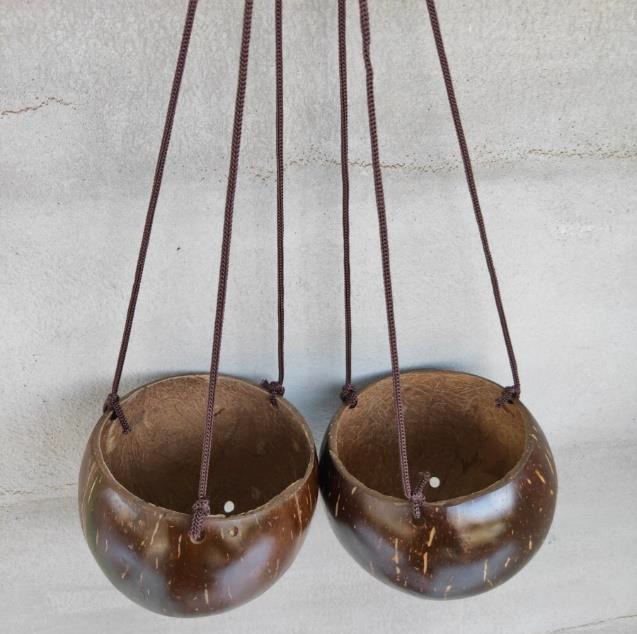 Pot of coconut shell