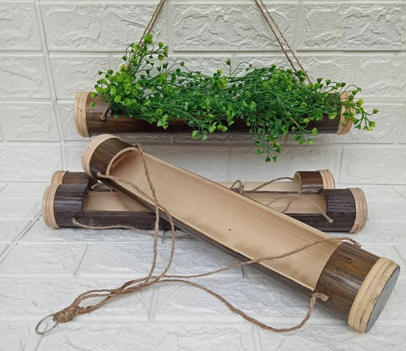 Pot of bamboo